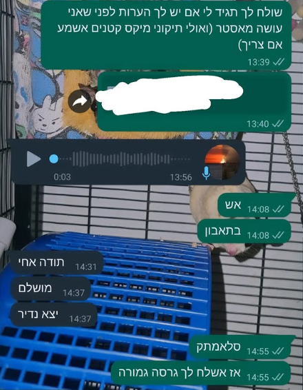 ביקורת ואניה 2