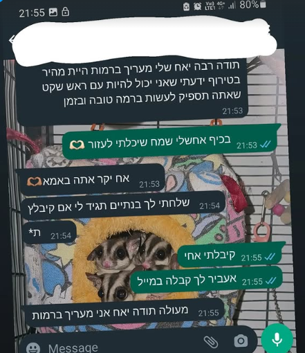 ביקורת מני